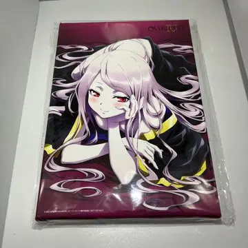 오버로드 IV 전권 구매 혜택 캐릭터 파인 캔버스 아트