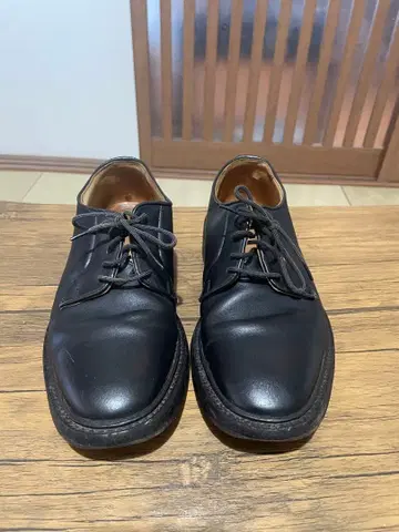 트리커스 플레인토