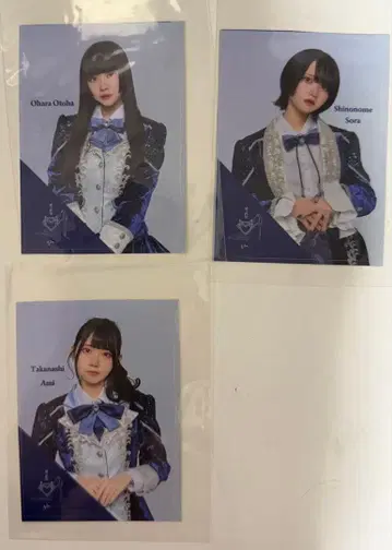 AVAM 오하라 오토하 코토나시 아미 시노노메 아오조라 스티커