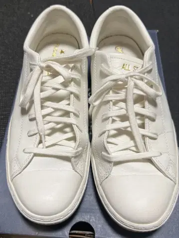 올스타 쿠페 OX 화이트 26cm