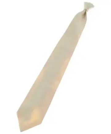 VERSACE 남성용 넥타이