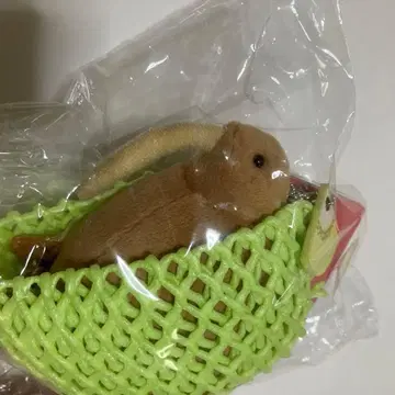 키위 키위 봉제 인형 펠리시모 새 텐노지 동물원 유머