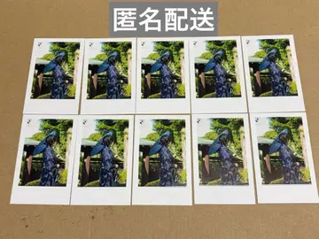 이레이스 실사 폴라로이드 If 이프 4