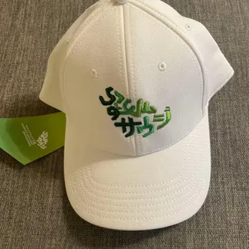 오사카 간사이 만박 사우디아라비아관 캡