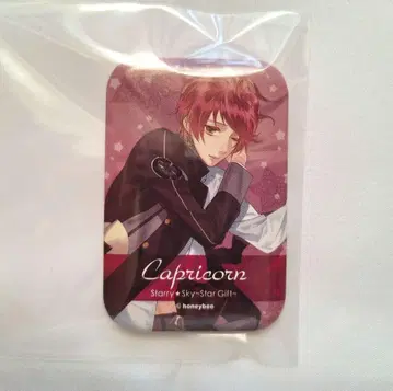 Starry Sky 토모에 요우 스타스카 캔 배치 AGF