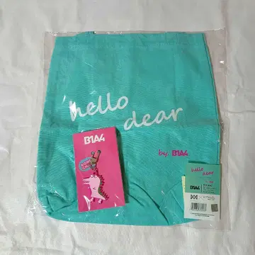 B1A4 공찬 공룡 키링 토트백