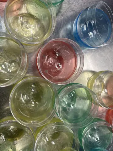 컬러풀 캡슐 100개입 덤 5개