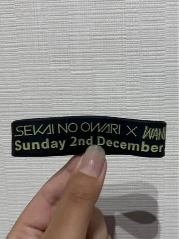 SEKAI NO OWARI x WANIMA 러버 밴드