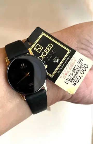 EXCEED CITIZEN 손목시계