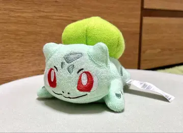 세탁 가능한 봉제 인형 이상해씨 포켓몬스터 포켓몬