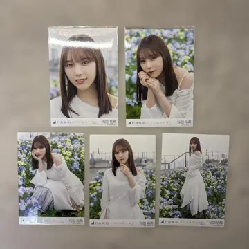 노기자카46 요다 유키 코코니와 나이모노 브로마이드