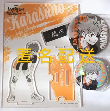 하이큐!! 히나타 포트레이트