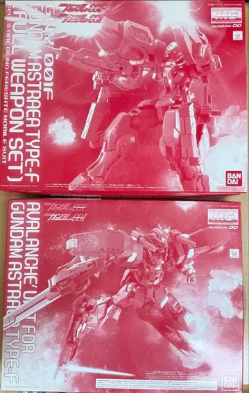 2체 세트 미조립 MG 건담 아스트레아 TYPE-F 아발란체 대시