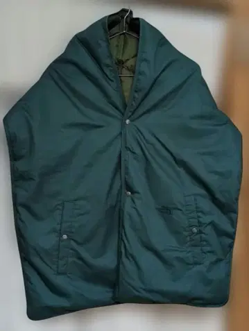 THENORTH FACE 마운틴 다운 케이프 Green