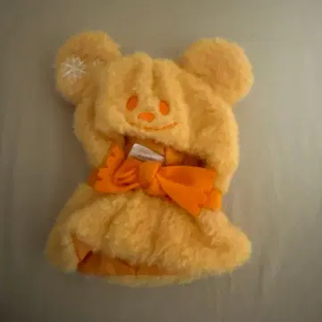 디즈니 시크릿 판초