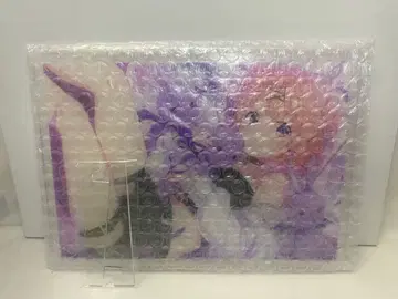 주문은 토끼입니까? 코코아 아크릴 플레이트