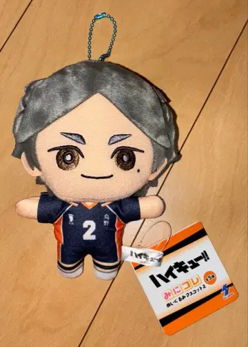 하이큐 미니코레 봉제 인형 마스코트 2 스가와라 코시