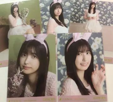 노기자카46 브로마이드 이오키 마오 할로윈 2025 개별 5장 세트