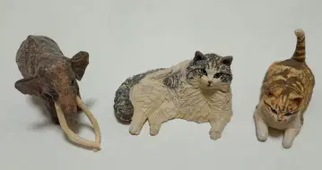 하시모토 미오 가챠 가샤