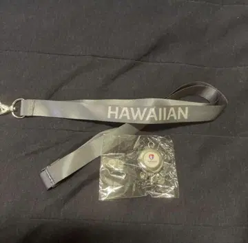 레어! 하와이안 항공 스트랩