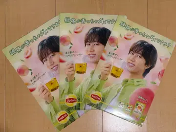 립톤 아베 료헤이 클리어 파일 3장 세트