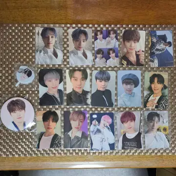 SEVENTEEN 디노 세트