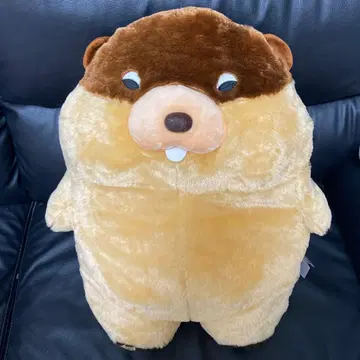 무쿠무쿠 무쿠 인기쟁이 봉제 인형