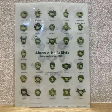 오사카 만박 Algae x Hello Kitty 클리어 파일