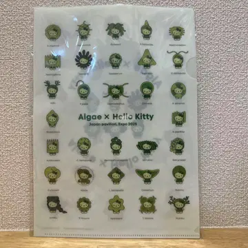 오사카 만박 Algae x Hello Kitty 클리어 파일