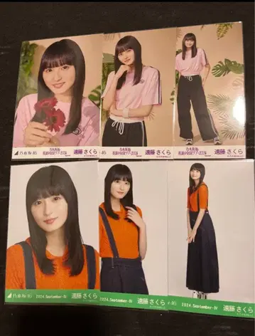 노기자카46 엔도 사쿠라 폴로 니트 Special 브로마이드 묶음 판매