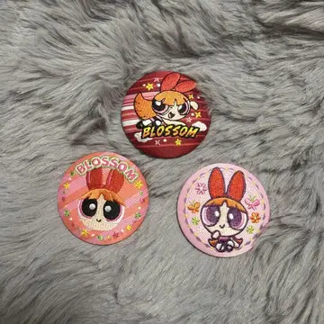 자수 캔뱃지 블라썸 세트