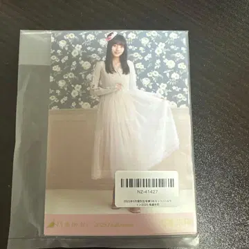 노기자카46 브로마이드 할로윈 2025년 5매 세트 카이베 아카리