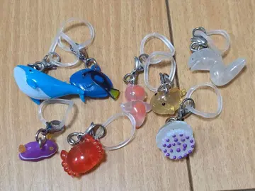 바다 생물 메지루시 액세서리 컴프 세트