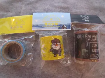 준호 마스킹 테이프 겨울 소년 2개 & 2PM 1개 펭귄