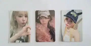 르세라핌 사쿠라 트레이딩 카드