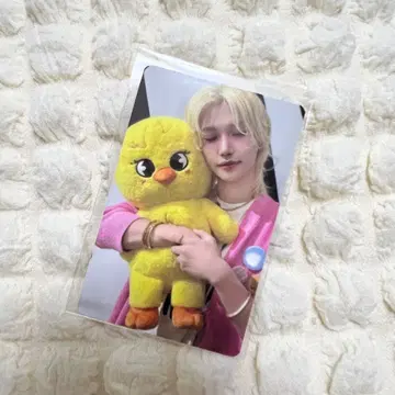 Stray Kids 필릭스 TINCASE 트레이딩 카드만 KARMA