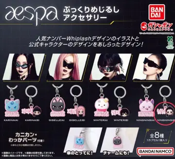 aespa 푸쿠리 메지루시 액세서리