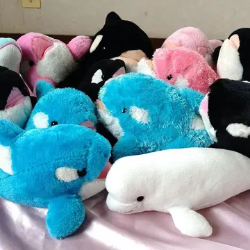 돌고래 봉제 인형 세트 판매