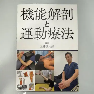 기능 해부와 운동 치료