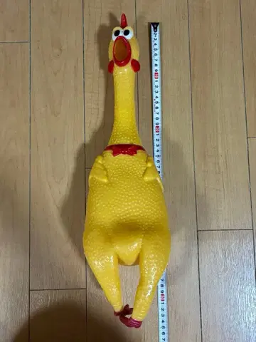 샤우팅 치킨 빅 사이즈 약 50cm L