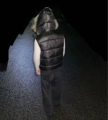 퍼 베스트 다운 자켓 00s Y2K 시크 스타일 그런지 블랙 헤이세이