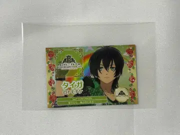 카가미 타이가 토모치케