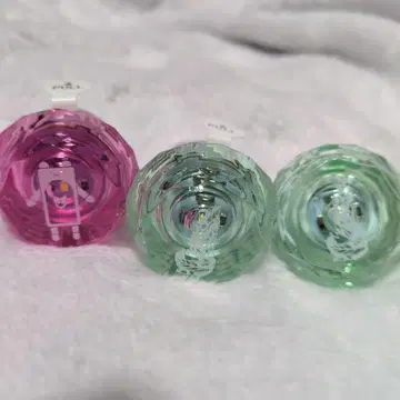 파라라이 반지 라이트 여름 준 칸타로 세트