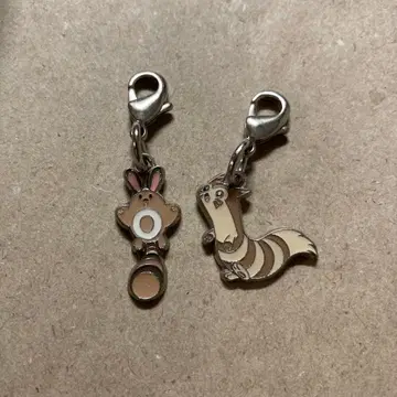 포켓몬 메탈 참