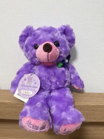 지역 한정 베어 홋카이도 라벤더 베어