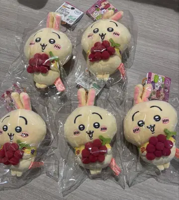 지역 한정 치이카와 야마나시 포도 토끼 5체 봉제 인형 키체인