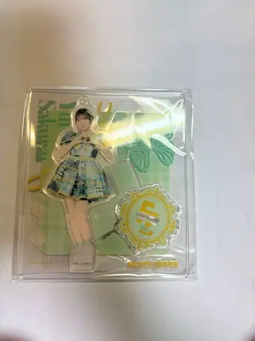 FRUITS ZIPPER 멤버별 아크릴 스탠드 사쿠라이 유이