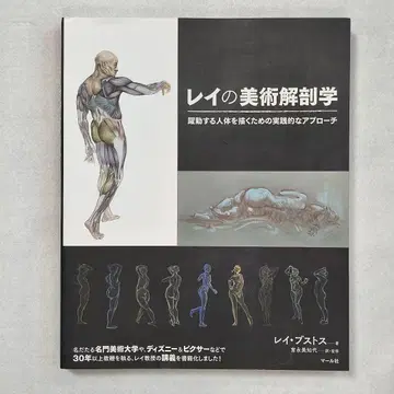 레이의 미술 해부학 레이 부스트로스 저 마르샤