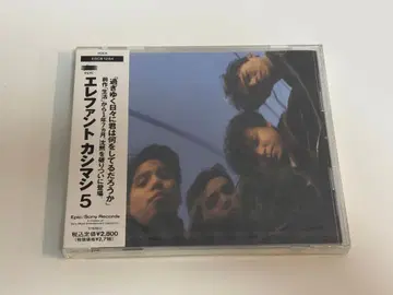 엘리펀트 카시마시/5