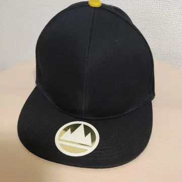 포켓몬 챔피온 단테 캡 포켓몬 센터